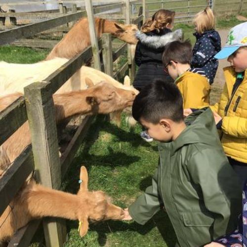 6f4cef67-48b1-4517-bd63-96a0e3e37c2e1x1